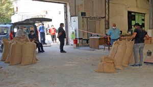 Toprak Mahsulleri Ofisi Bartın'da fındık üreticisinin yüzünü güldürüyor