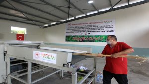 Türk mühendisleri kenevir lif sıyırma makinesi geliştirdi 