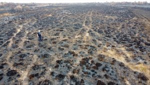 TÜRSAB'dan Kızılırmak Deltası Kuş Cenneti'nde inceleme
