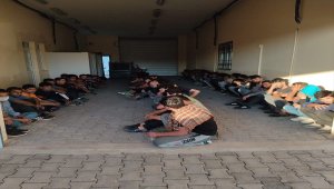 Van'da 65 düzensiz göçmen yakalandı