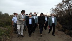 Yetkililer Kızılırmak Deltası Kuş Cenneti'ndeki yangın çıkan bölgede incelemede bulundu
