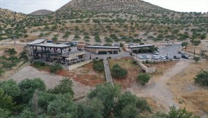Zeugma Antik Kenti kapılarını bu kez nikah için araladı