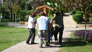Adana'da sokak hayvanları için parklara mamalık ve suluk konuldu