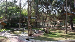 Antalya Hayvanat Bahçesi'nin papağanları ilgi odağı oldu