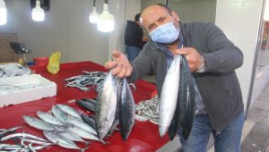 Avcılığı azalan palamudun tane fiyatı 27 liraya yükseldi 