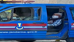 Bahçesine giren ineğin sahibini tabancayla boynundan yaraladı