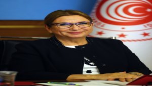 Bakan Pekcan, Türkiye-Danimarka 2. Dönem JETCO Toplantısı İmza Töreni'nde konuştu: