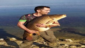 Bilecik'te amatör balıkçı yakaladığı 27,5 kilogramlık sazanı gölete bıraktı