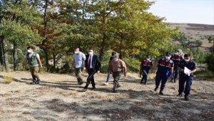 Bilecik'te izinsiz ağaç kesen kişiye para cezası