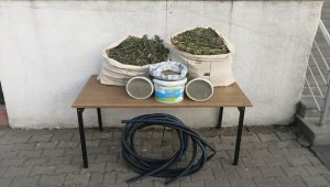 Bingöl'de 10 kilogram esrar, 11 kilogram kenevir tohumu ele geçirildi