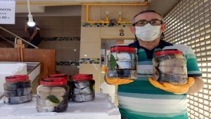 Bollaşan palamudun lakerdası erken yapıldı 