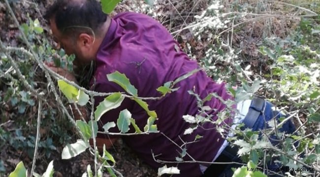 Denizli'de firari suç örgütü elebaşı ormanda yakalandı
