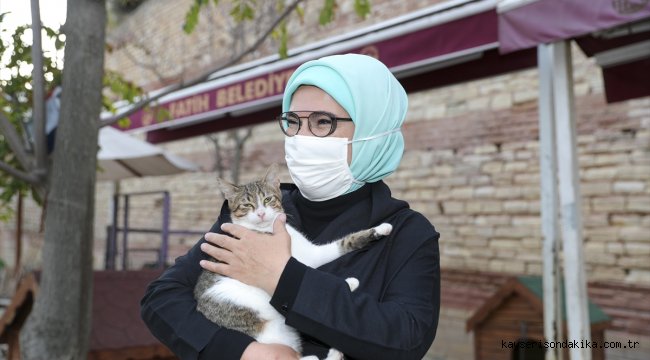 Emine Erdoğan'dan "Hayvanları Koruma Günü" paylaşımı: 