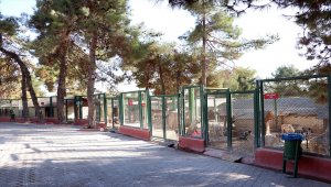 Gaziantep'e sokak hayvanları için 10 milyon liralık yatırım 