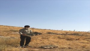 Gaziantep'te tuzakla saka kuşu yakalayan iki kişiye para cezası
