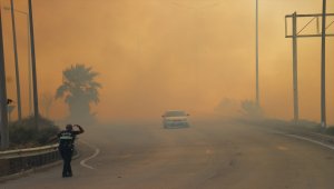 GÜNCELLEME 2- Hatay'da çıkan orman yangını 2 mahalleye sıçradı
