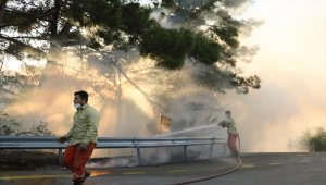 GÜNCELLEME 7 - Hatay'da çıkan orman yangını 3 ilçeye yayıldı