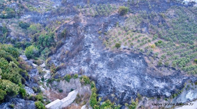 GÜNCELLEME - Hatay'daki orman yangınına müdahale sürüyor