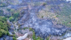 GÜNCELLEME - Hatay'daki orman yangınına müdahale sürüyor
