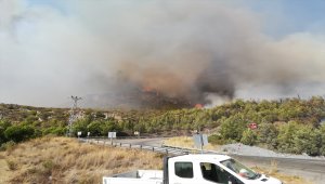 GÜNCELLEME - Mersin'de çıkan orman yangını kontrol altına alındı 