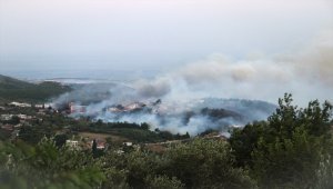 Hatay'daki orman yangınına karadan müdahale sürüyor