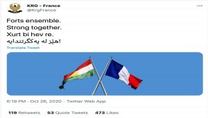 IKBY Fransa Temsilciliği, tepkiler üzerine Fransa'ya destek mesajını sildi
