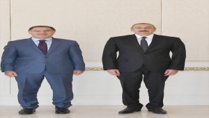 İlham Aliyev, Kamu Başdenetçisi Malkoç'u kabul etti