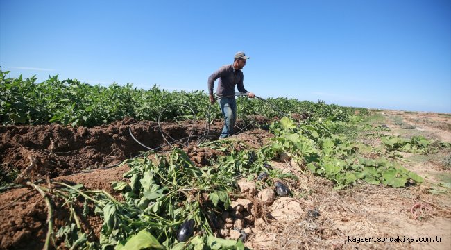  İsrail güçleri Gazze sınırındaki tarım arazilerine buldozerlerle zarar verdi