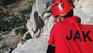 Kahramanmaraş'ta kayalıkta mahsur kalan hayvanları JAK timleri kurtardı