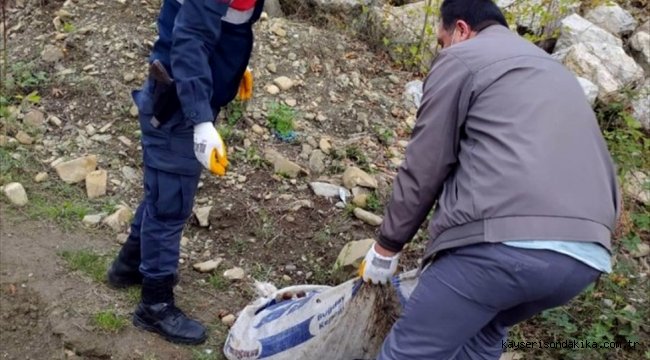Karabük'te izinsiz salyangoz toplayan 5 kişi yakalandı
