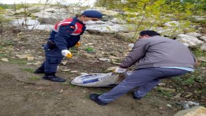 Karabük'te izinsiz salyangoz toplayan 5 kişi yakalandı