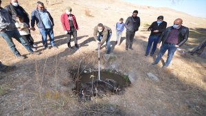 Kars'ta yaralı bulunan bozayı tedavi altına alındı