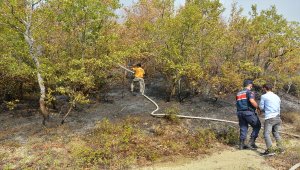 Kastamonu'da çıkan orman yangınına müdahale ediliyor