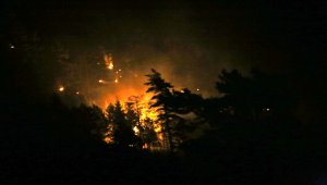 Kastamonu'da orman yangını