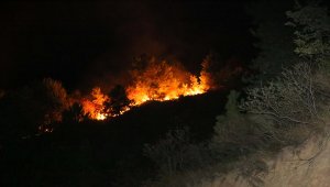 Kastamonu'daki orman yangını kontrol altına alındı