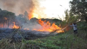 Mersin'de orman yangını 