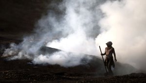 "Meşe ağacından mangal kömürüne" emeğin öyküsü 