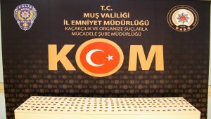 Muş'ta 200 sikke ele geçirildi
