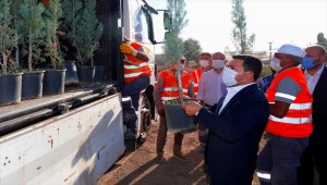 Nevşehir'den Hatay'a fidan gönderildi
