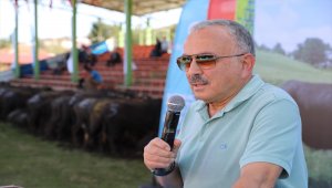 Ordu'da çiftçilere manda desteği sağlandı