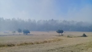 Ordu'da orman ve örtü yangını kontrol altına alındı