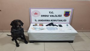 Ordu'da uyuşturucu operasyonunda iki kişi yakalandı