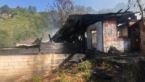 Rize'de elektrik kontağından çıkan yangında 12 kovan arı yandı 