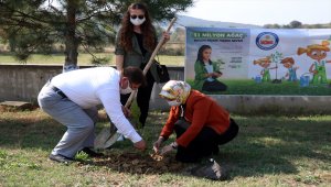 Sakarya'dan orman yangınlarına fidanlı destek