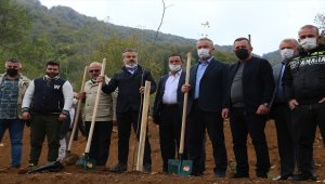 Samsun'da doğaya ve Kovid-19 salgınına dikkati çekmek için Nebiyan Dağı'nda fidan dikildi 