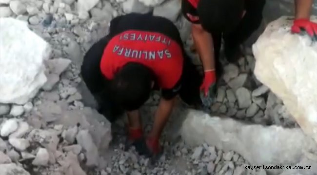 Şanlıurfa'da çöken toprak ve kaya yığınının altında kalan yavru köpek kurtarıldı