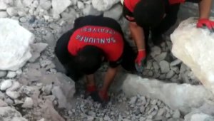 Şanlıurfa'da çöken toprak ve kaya yığınının altında kalan yavru köpek kurtarıldı