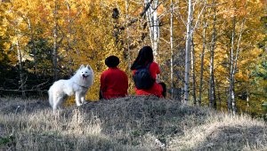 Sarıkamış Ormanları'nda sonbahar güzelliği