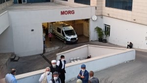 Siirt'te ağaçtan düşen kişi hayatını kaybetti 