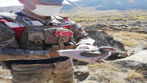 Tatvan'da kaçak keklik avlayan çobana 28 bin 430 lira ceza